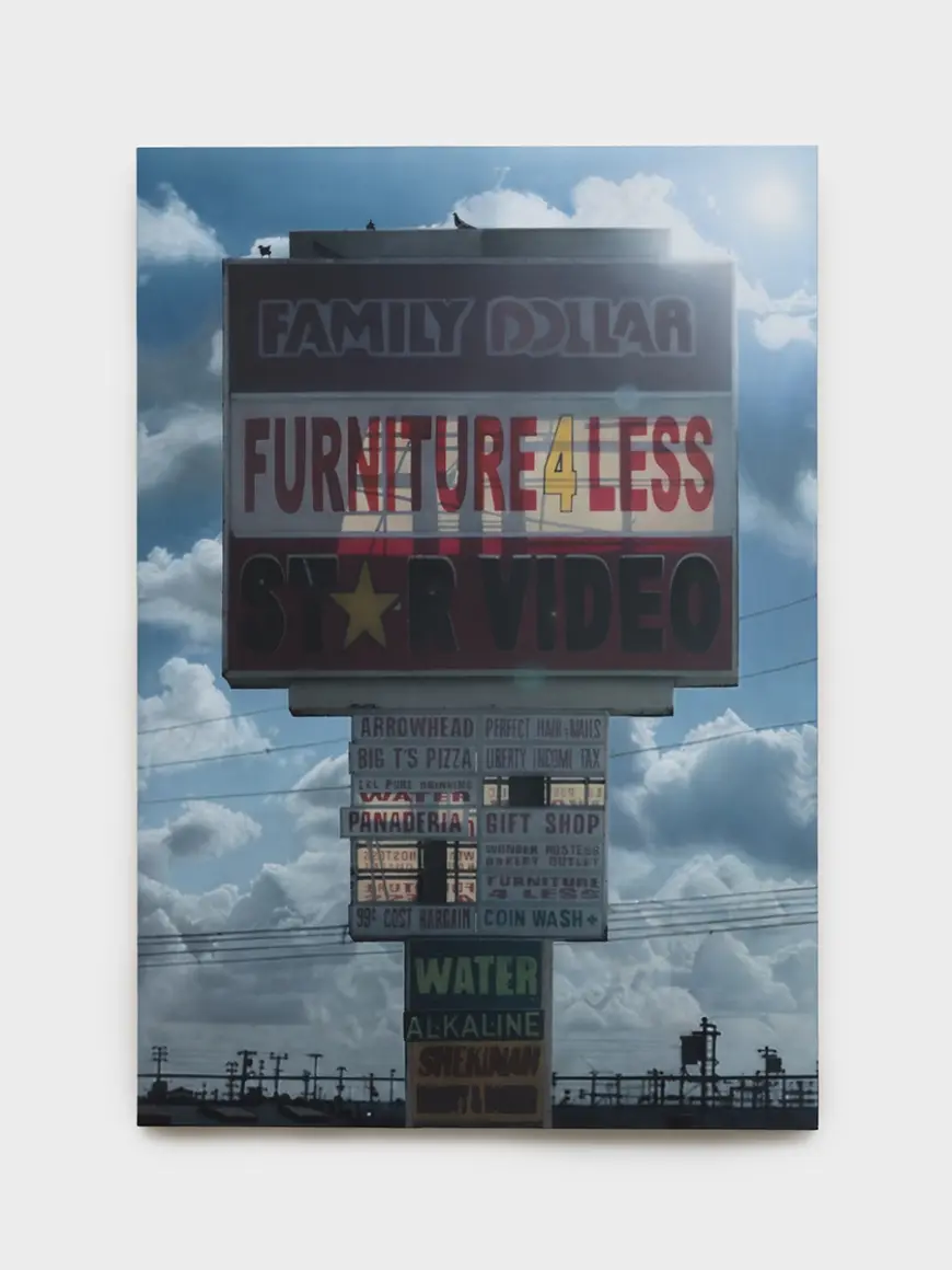 Sayre Gomez, “Family Dollar Star Video 4 Less”, 2025, acrylic on canvas, 182.9 x 127 cm © Sayre Gomez / Photo: Jeff Mclane
