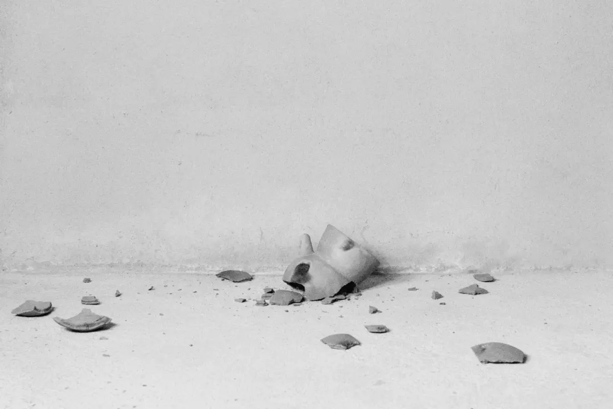 AAWAA, “Strand”, 2025, 8 mm film, 3’50” © AAWAA / Courtesy of Taka Ishii Gallery